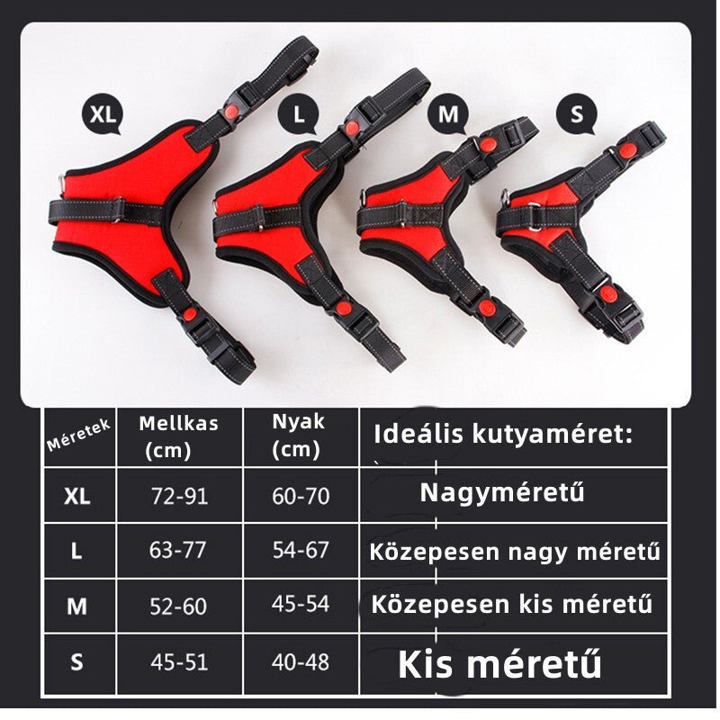 DEKO Fekete Kutyahám - L - es Méretű, Tartós Kutyanyakörv - BShopyEM0957_1