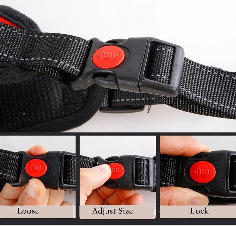 DEKO Fekete Kutyahám - M - es Méretű, Tartós Kutyanyakörv - BShopyEM0956_2