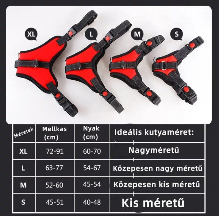 DEKO Fekete Kutyahám - M - es Méretű, Tartós Kutyanyakörv - BShopyEM0956_4