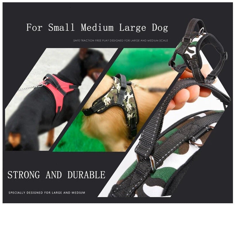 DEKO Fekete Kutyahám - M - es Méretű, Tartós Kutyanyakörv - BShopyEM0956_1