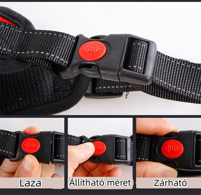 DEKO Fekete Kutyahám - S Méretű, Állítható és Tartós - BShopyDKPT002_2