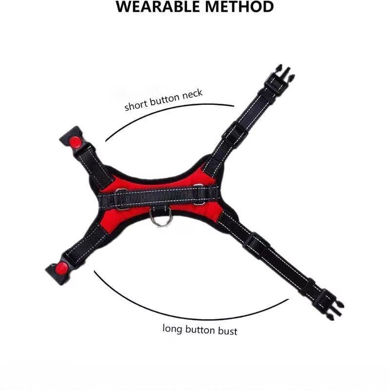 DEKO Piros Kutyahám - L - es Méretű Tartós Kutyanyakörv - BShopyEM0953_4