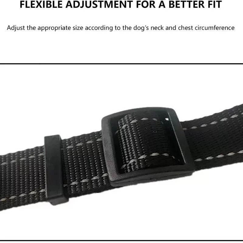 DEKO Piros Kutyahám - L - es Méretű Tartós Kutyanyakörv - BShopyEM0953_1