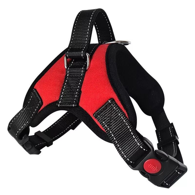 DEKO Piros Kutyahám - L - es Méretű Tartós Kutyanyakörv - BShopyEM0953_0