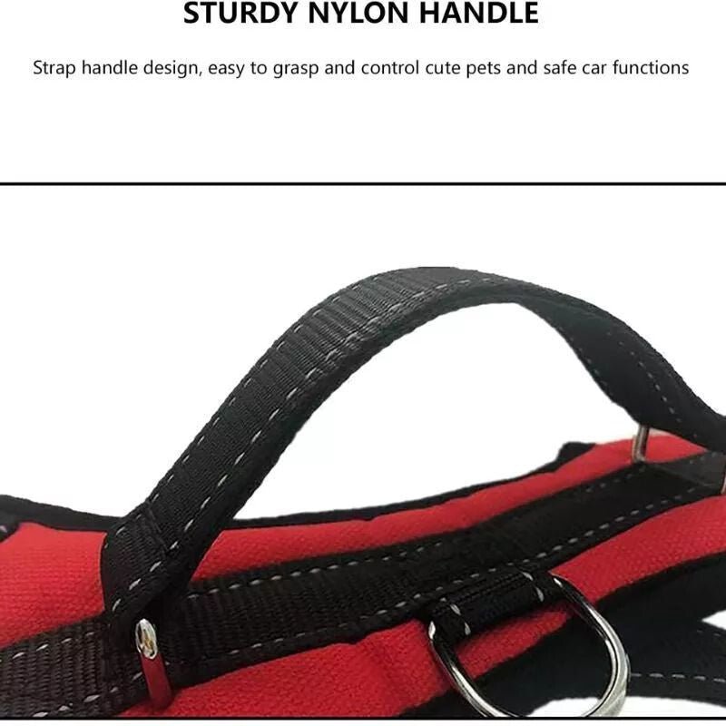 DEKO Piros Kutyahám - M - es Méretű Tartós Kutyanyakörv - BShopyEM0954_1