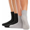 Basic Farben – 36-41 (2 Paar)