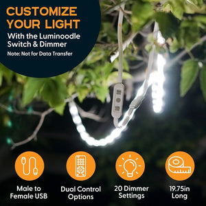 Luminoodle USB LED vezérlő és vezeték nélküli RF távirányító – Univerzális világításvezérlés - BShopy