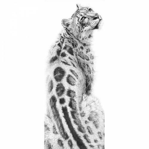 Bshop Diamantgemälde mit Leopardenmuster, 20 x 50 cm